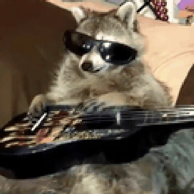 the raccoon from the header but turning into obama